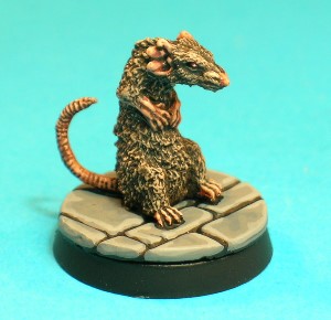 Pose 1. This medium-sized rat is sitting up on its haunches, and has a badly damaged right ear.  